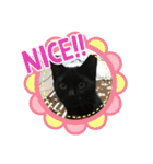 くろ猫(=^ェ^=)あずき（個別スタンプ：18）