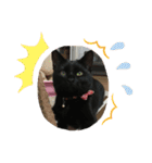 くろ猫(=^ェ^=)あずき（個別スタンプ：22）