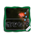 Bumbie_o3's Message Sticker（個別スタンプ：9）