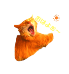 うちの飼い猫シリーズ（個別スタンプ：4）