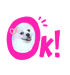 レフラースタンプ（個別スタンプ：16）