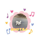レフラースタンプ（個別スタンプ：25）