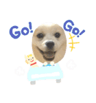 レフラースタンプ（個別スタンプ：32）