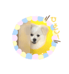 レフラースタンプ（個別スタンプ：36）