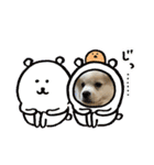 レフラースタンプ（個別スタンプ：37）