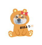 ももしゃぽスタンプ第3弾（個別スタンプ：1）