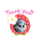 あさdog3（個別スタンプ：4）