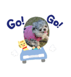 あさdog3（個別スタンプ：6）