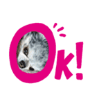 あさdog3（個別スタンプ：7）