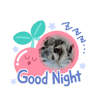 あさdog3（個別スタンプ：8）