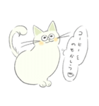 とけねこ 時々めがねこくん（個別スタンプ：30）