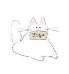 とけねこ 時々めがねこくん（個別スタンプ：33）