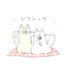 とけねこ 時々めがねこくん（個別スタンプ：34）