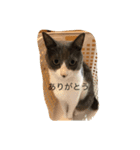 タッキーズ ファミリー（個別スタンプ：5）