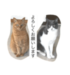 タッキーズ ファミリー（個別スタンプ：8）