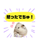 ごまくんすたんぷ③（個別スタンプ：4）