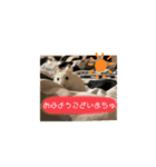 ごまくんすたんぷ③（個別スタンプ：5）