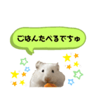 ごまくんすたんぷ③（個別スタンプ：6）
