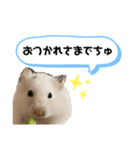ごまくんすたんぷ③（個別スタンプ：7）