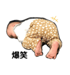 ひな1号（個別スタンプ：12）
