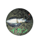 memories stamp（個別スタンプ：4）