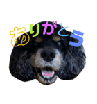 ご機嫌なLOLO（個別スタンプ：2）