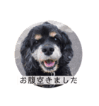 ご機嫌なLOLO（個別スタンプ：11）