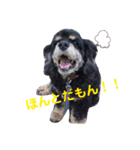 ご機嫌なLOLO（個別スタンプ：12）