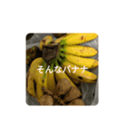 エスニック飯飯（個別スタンプ：2）