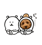 コッカプーのANDY（個別スタンプ：39）