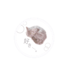 こんにゃくくん。（個別スタンプ：10）