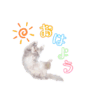 こんにゃくくん。（個別スタンプ：11）