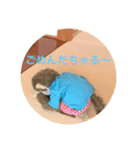 猿佑のスタンプ（個別スタンプ：6）