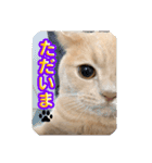 そいまるの日常②（個別スタンプ：9）
