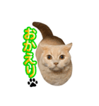 そいまるの日常②（個別スタンプ：10）