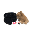 そいまるの日常②（個別スタンプ：20）