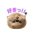 そいまるの日常②（個別スタンプ：21）