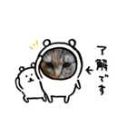 ねこちゃんずのスタンプ（個別スタンプ：2）