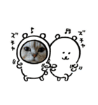 ねこちゃんずのスタンプ（個別スタンプ：3）