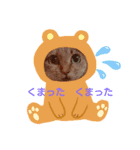 ねこちゃんずのスタンプ（個別スタンプ：14）