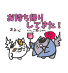 【ねこ豆の日常】夏バージョン②（個別スタンプ：13）