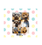 中野ファミリー（個別スタンプ：21）