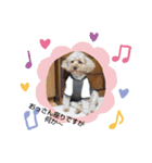 中野ファミリー（個別スタンプ：22）