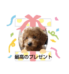 中野ファミリー（個別スタンプ：23）