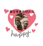 中野ファミリー（個別スタンプ：24）