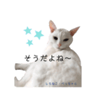しろねこ姉妹part2（個別スタンプ：2）