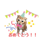 スコの子猫 ☆チャロ ☆日常スタンプ（個別スタンプ：13）