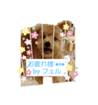 古川綾音のオリジナルスタンプ（個別スタンプ：4）