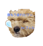 古川綾音のオリジナルスタンプ（個別スタンプ：6）