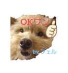 古川綾音のオリジナルスタンプ（個別スタンプ：12）